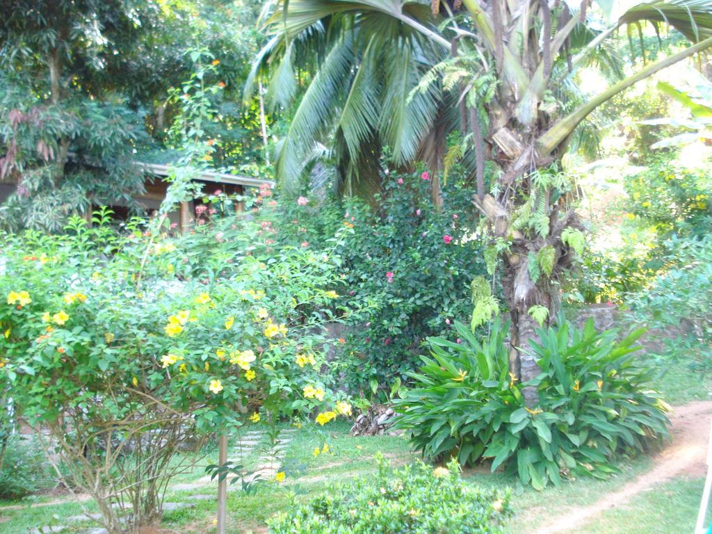 Cote Sud - Unique Villa & Bungalows Intendance Road Takamaka Quarto foto